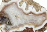 Polished Banded Agate Nodule Half - Wiley's Well, California #373388-1